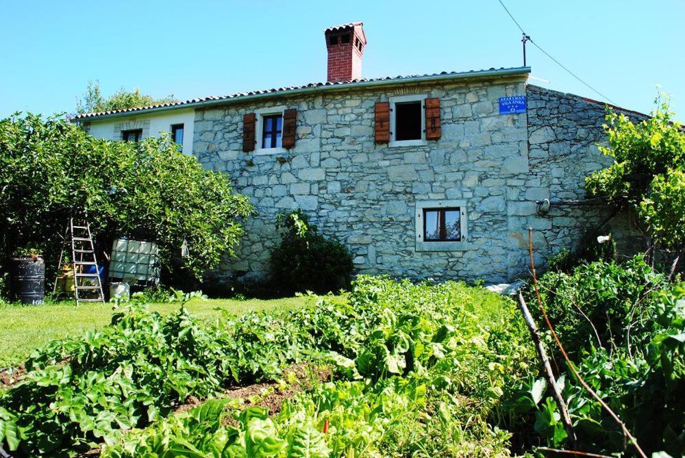 Casa Anka Villa Gračišće Bagian luar foto